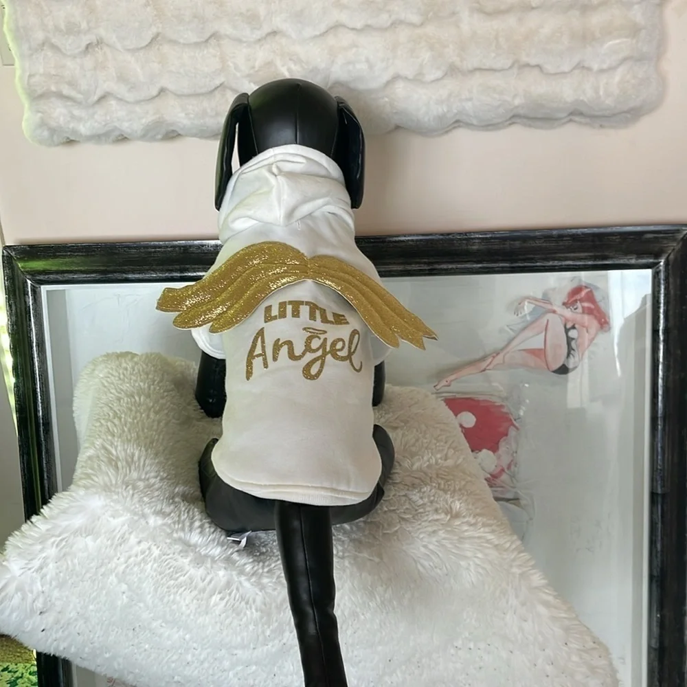 Spooky night little angle costume for dogs NWOT so cute good and white and wings